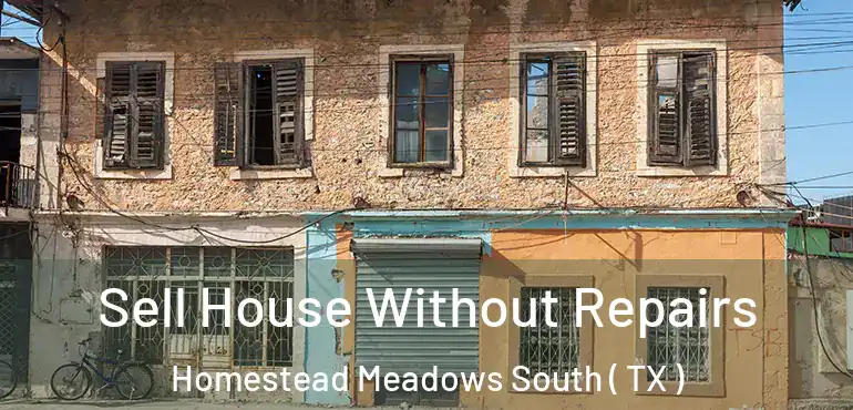  Sell House Without Repairs Homestead Meadows South ( TX )