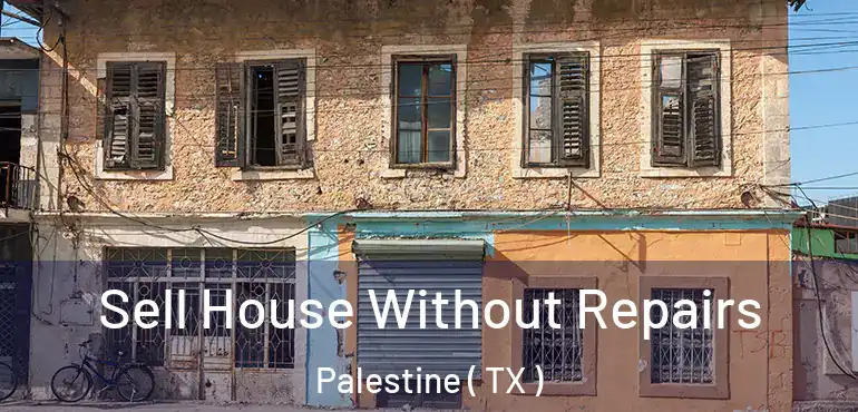  Sell House Without Repairs Palestine ( TX )