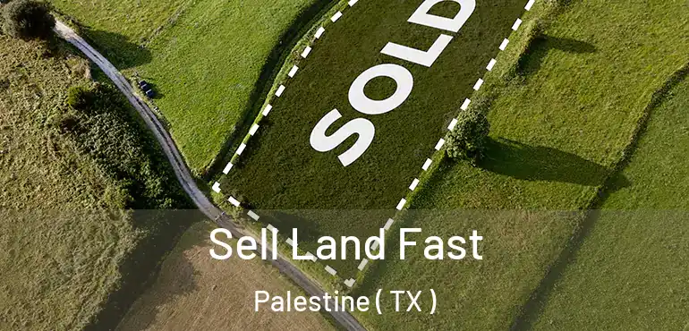 Sell Land Fast Palestine ( TX )