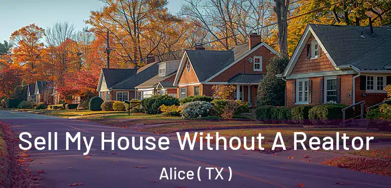  Sell My House Without A Realtor Alice ( TX )