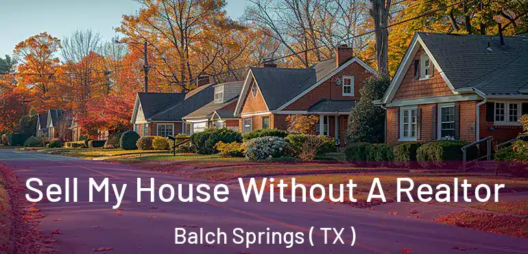  Sell My House Without A Realtor Balch Springs ( TX )