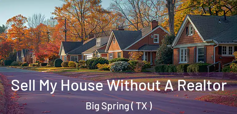 Sell My House Without A Realtor Big Spring ( TX )