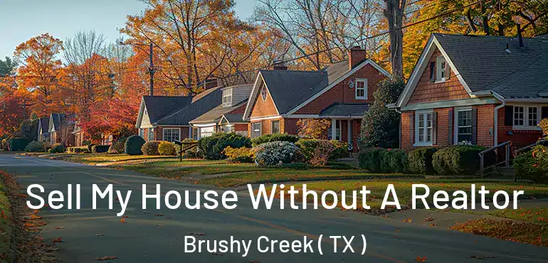  Sell My House Without A Realtor Brushy Creek ( TX )