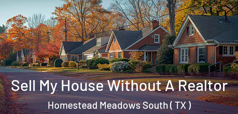  Sell My House Without A Realtor Homestead Meadows South ( TX )