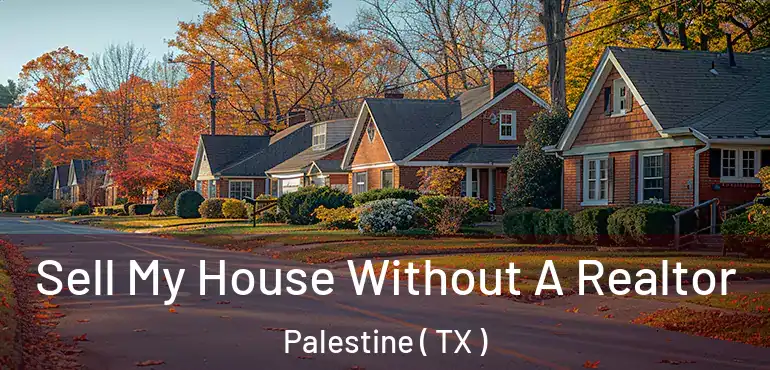  Sell My House Without A Realtor Palestine ( TX )