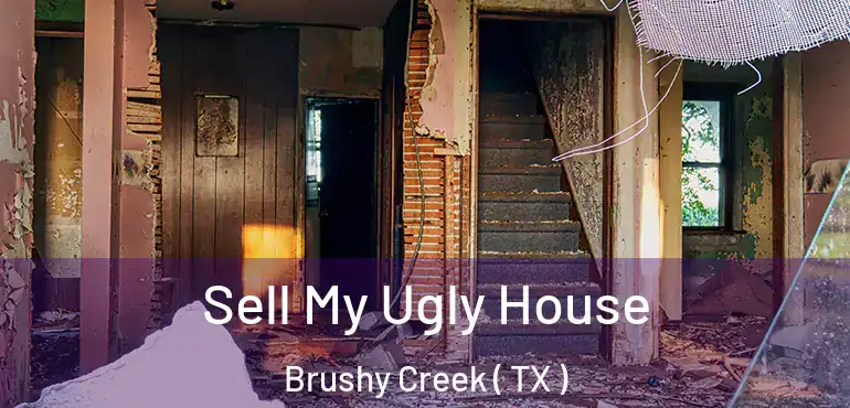  Sell My Ugly House Brushy Creek ( TX )