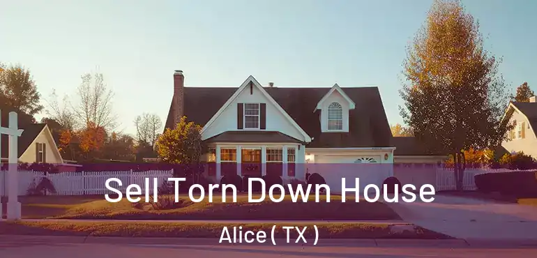  Sell Torn Down House Alice ( TX )