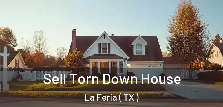 Sell Torn Down House La Feria ( TX )