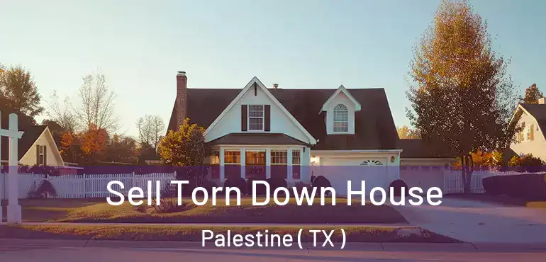  Sell Torn Down House Palestine ( TX )