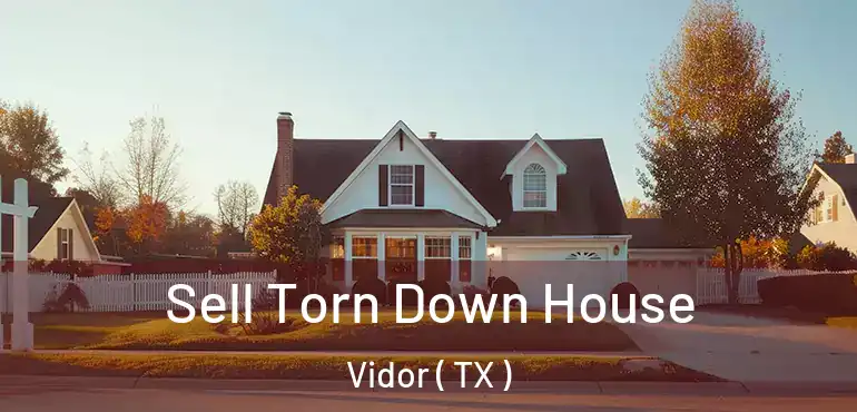  Sell Torn Down House Vidor ( TX )