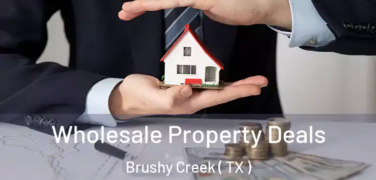  Wholesale Property Deals Brushy Creek ( TX )