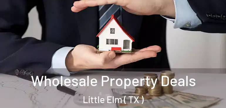  Wholesale Property Deals Little Elm ( TX )